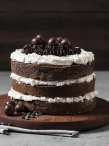 Chocolate Sponge Cake Mix