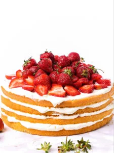 Mélange de Gâteau Éponge Blanc